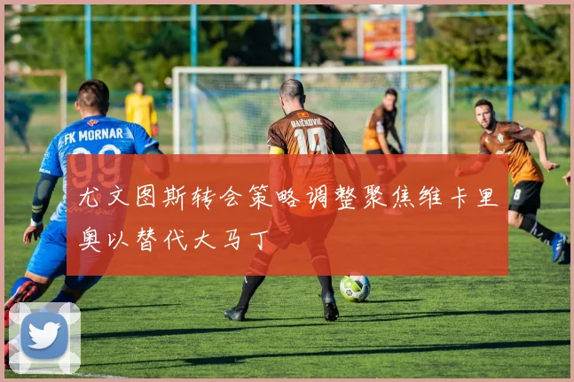 尤文图斯转会策略调整聚焦维卡里奥以替代大马丁